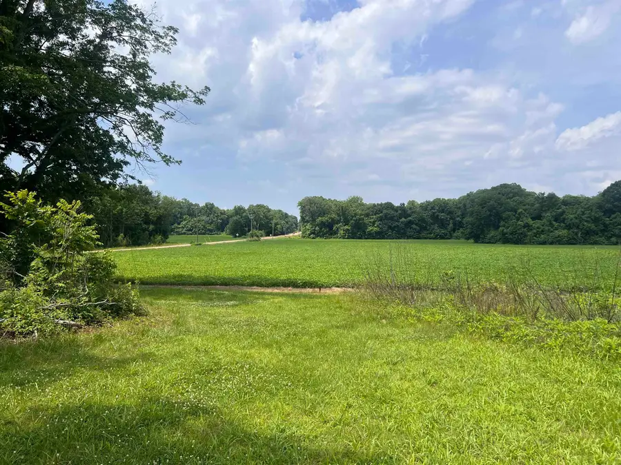 9820 W HWY 59 HWY, Burlison, TN 38015 - #3