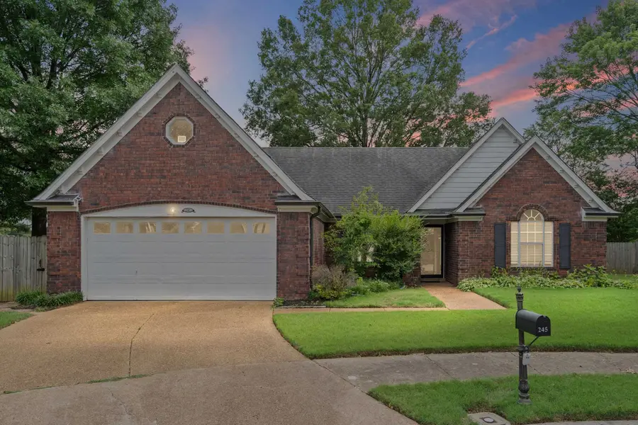 245 POPLAR BLUFF CV, Collierville, TN 38017 - #2