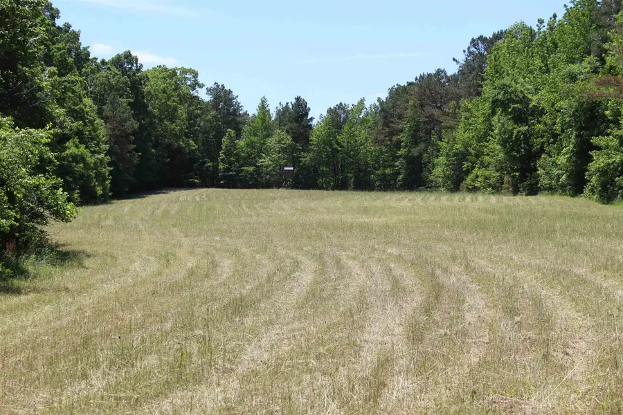 0 SILERTON RD, Bolivar, TN 38008 - #2
