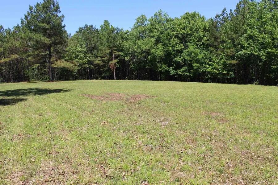0 SILERTON RD, Bolivar, TN 38008 - #3