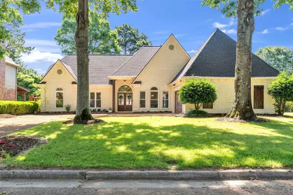 10288 PEYTON PATH CV, Collierville, TN 38017
