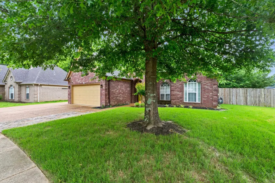 7887 PINEFROST LN, Memphis, TN 38125 - #3