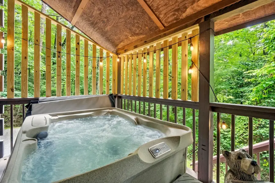 3651 BIRDS CREEK RD, Sevierville, TN 37876 - #3