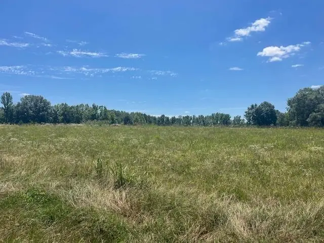 2380 WATKINS DR, Williston, TN 38076 - #2