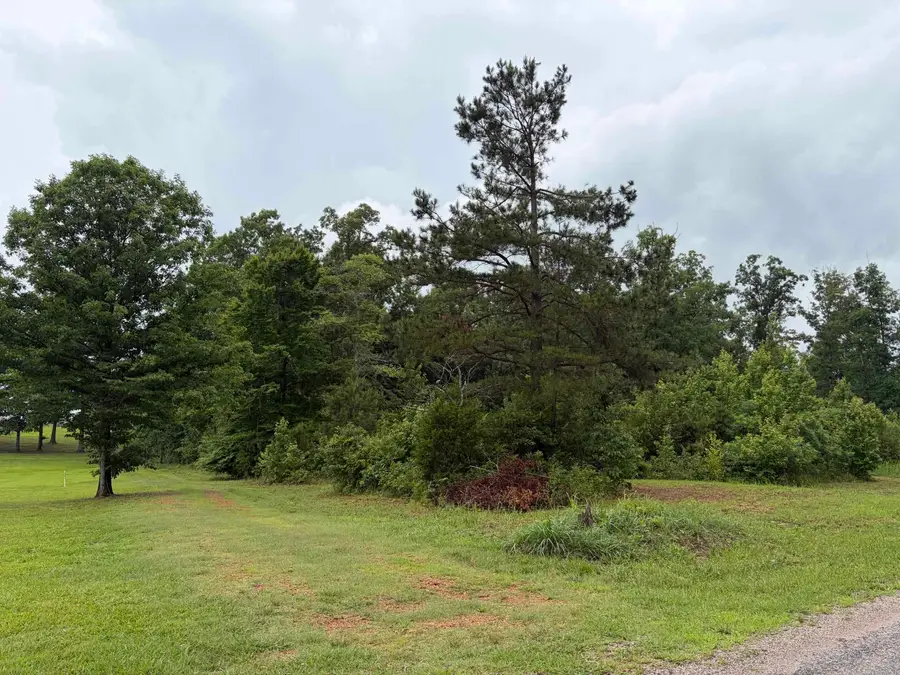745 FOSTER RD, Adamsville, TN 38310 - #3