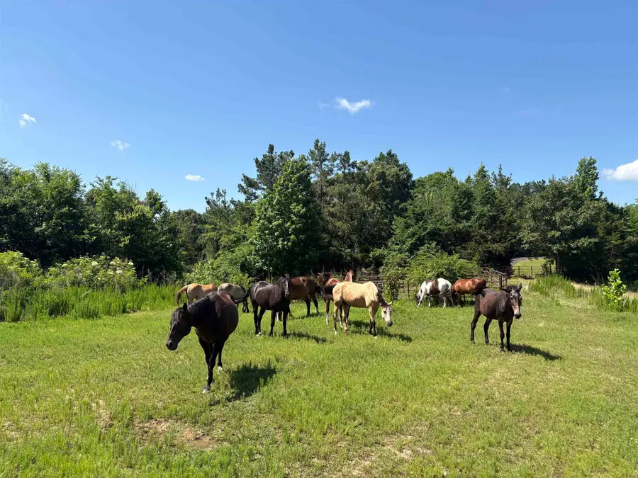 0 BEAUTY HILL RD #Lot 1, Bethel Springs, TN 38315 - #3