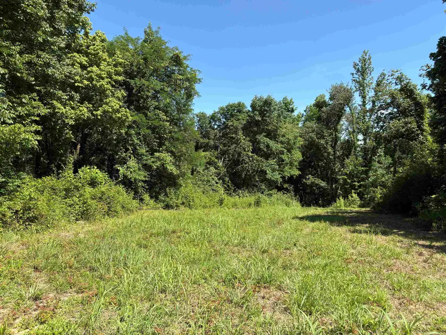 0 WALSH RD #Lot 1, Millington, TN 38053 - #3
