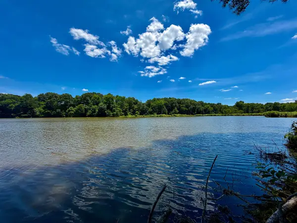 40.37 AC SMYRNA RD, Somerville, TN 38068