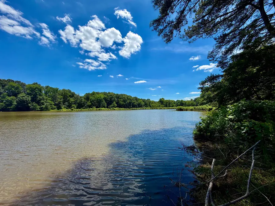40.37 AC SMYRNA RD, Somerville, TN 38068 - #2