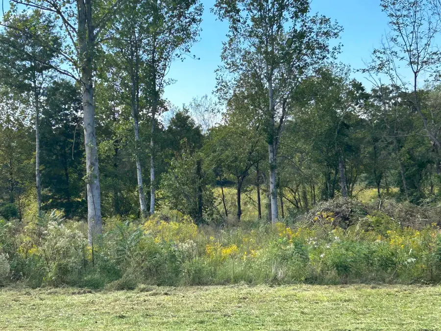 LOT 36 CORDOVA CV, Savannah, TN 38372 - #2