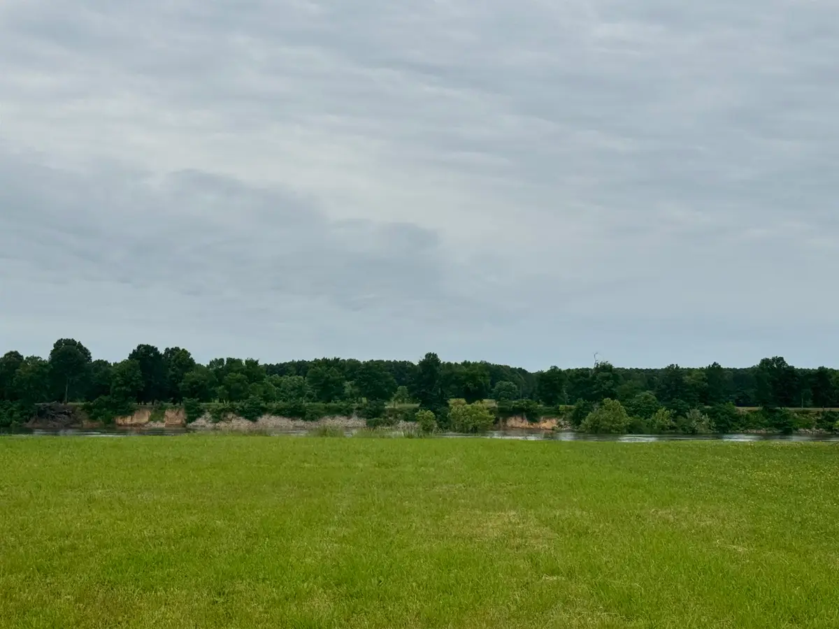 LOT 29 DECLAN LN, Savannah, TN 38372 - #1