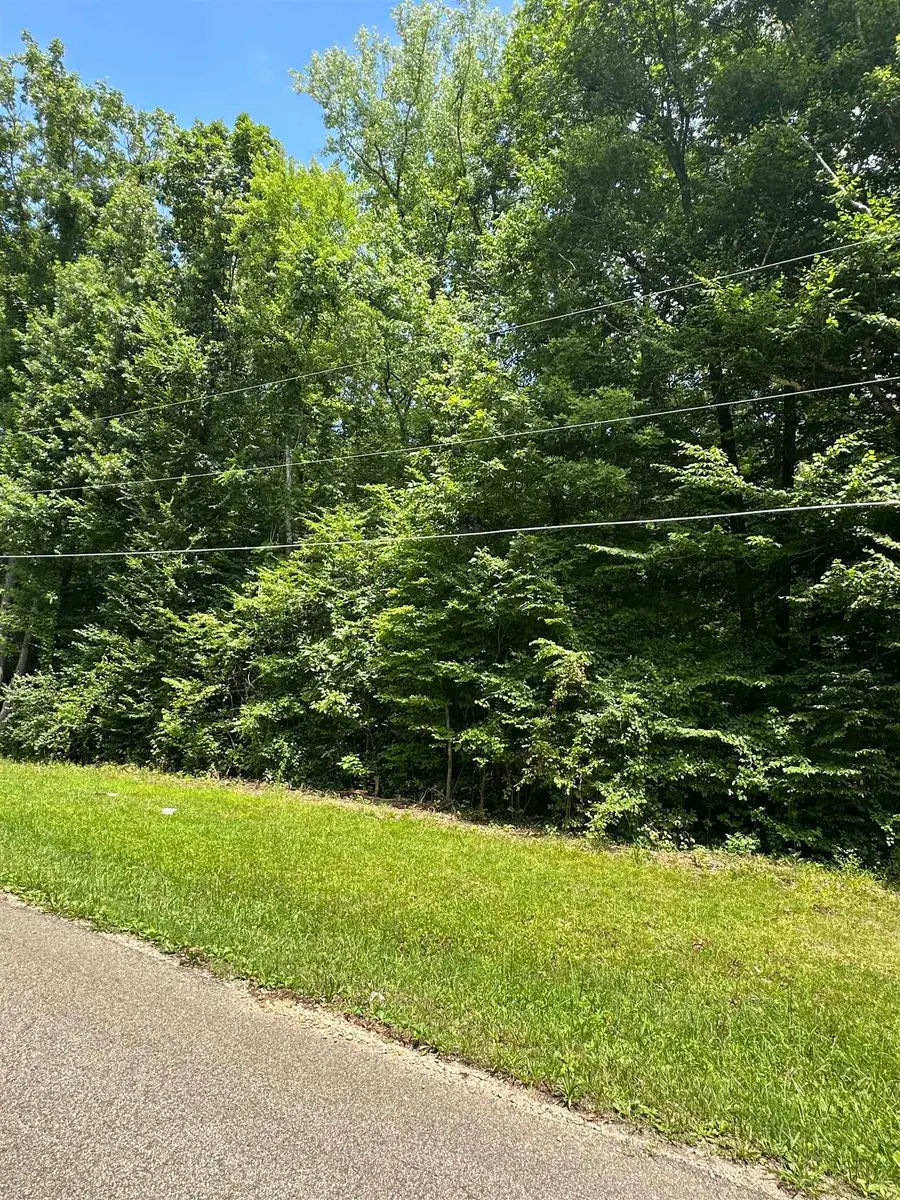 BRAMBLE DR, Selmer, TN 38375 - #3