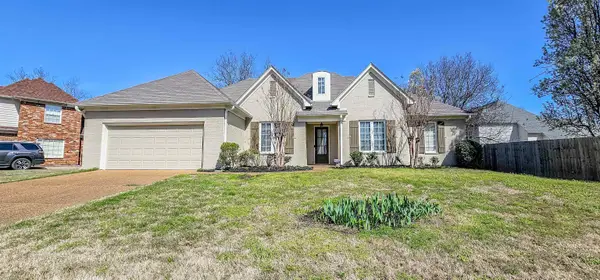8678 ASHBURY OAK DR, Memphis, TN 38018