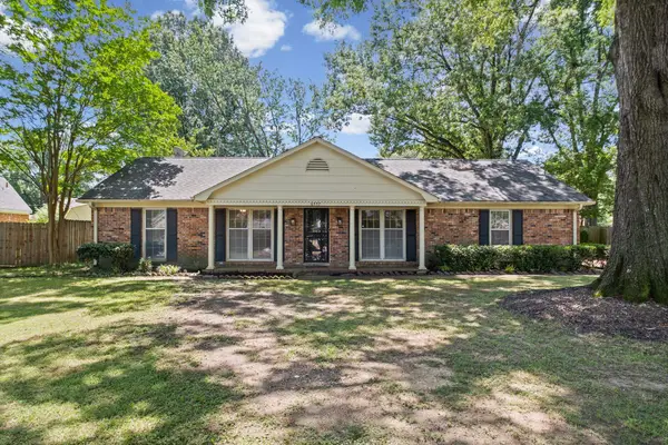 6557 SULGRAVE DR, Memphis, TN 38119
