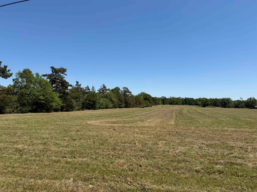1 69 HWY, Adamsville, TN 38310 - #3