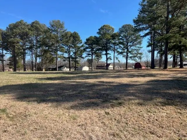 00 BLACK PLACE/BRAMBLEWOOD DR, Savannah, TN 38372 - #3