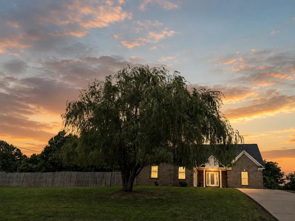 15401 HWY 59 HWY, Drummonds, TN 38023 - #1
