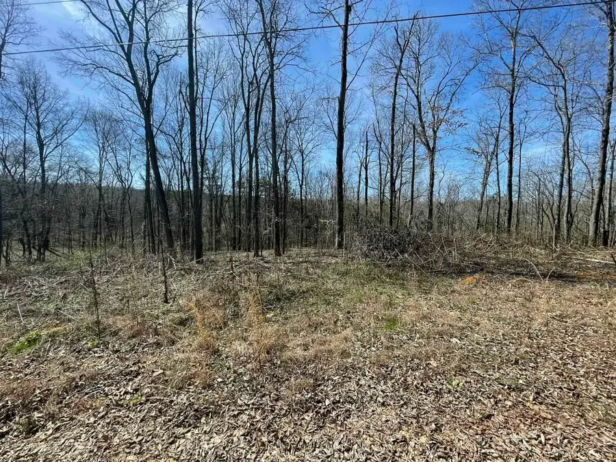2 DELTA QUEEN CV, Savannah, TN 38372 - #3