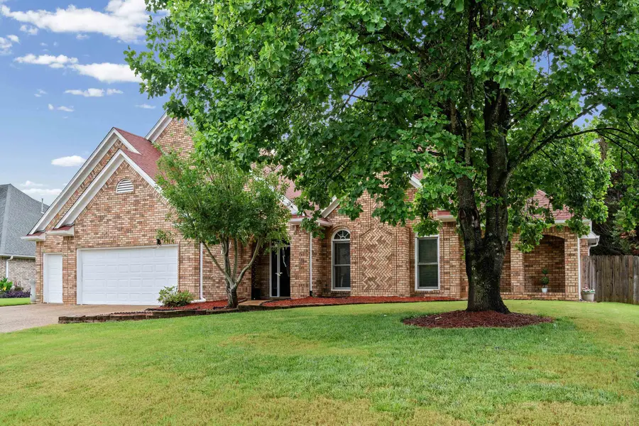 8231 MEADOW VALE DR, Memphis, TN 38125 - #2