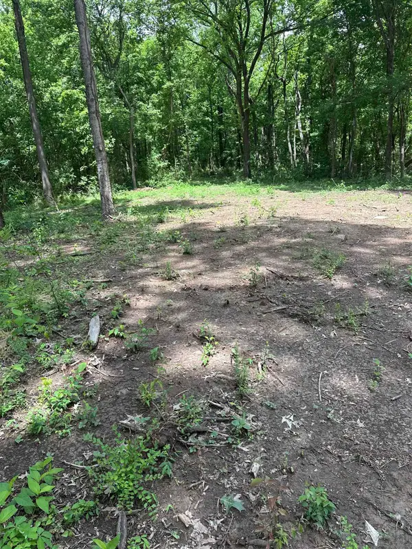 0 N WATKINS RD, Millington, TN 38053