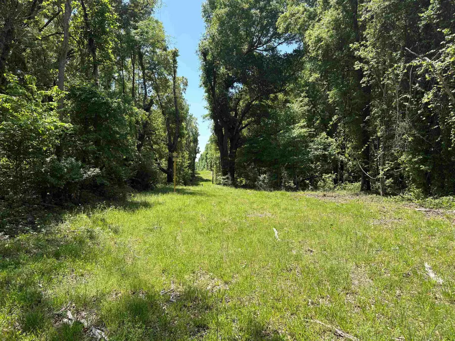 0 N OSBORNTOWN RD #Tract 2 - 30 Acres, Arlington, TN 38002 - #2