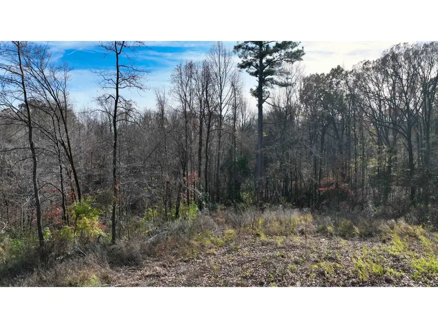 MUNFORD GILTEDGE RD, Burlison, TN 38015 - #3