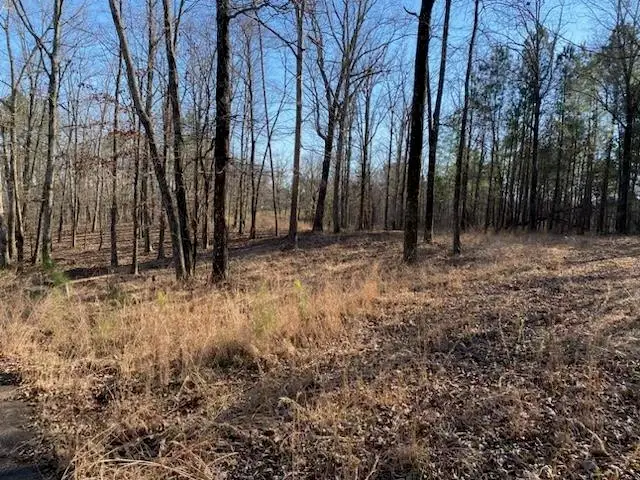 3595 NORTHSHORE DR, Savannah, TN 38372 - #1