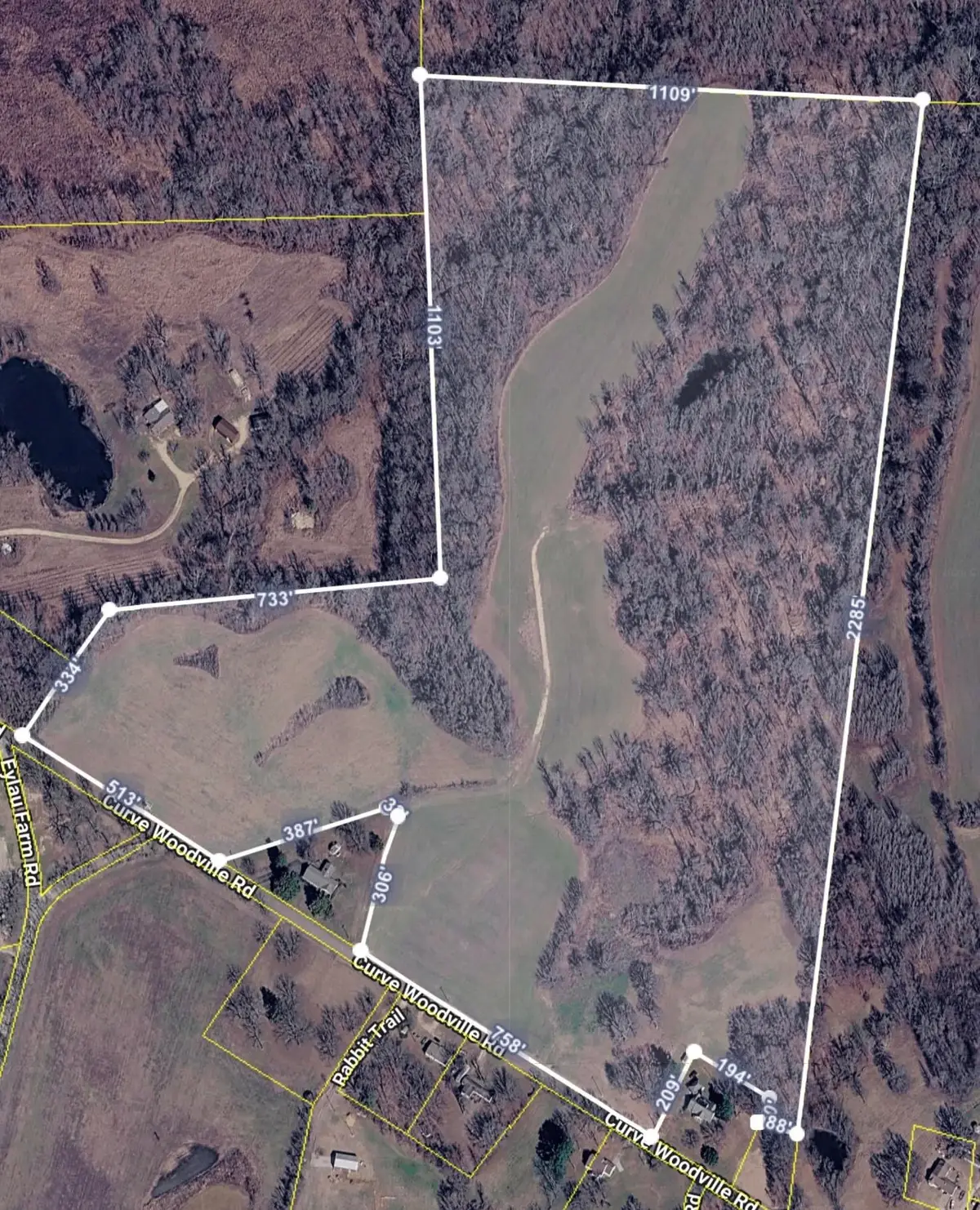 00 CURVE WOODVILLE RD, Ripley, TN 38063 - #1