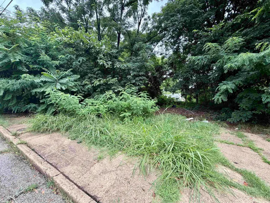160 W MCKELLAR AVE, Memphis, TN 38109 - #3