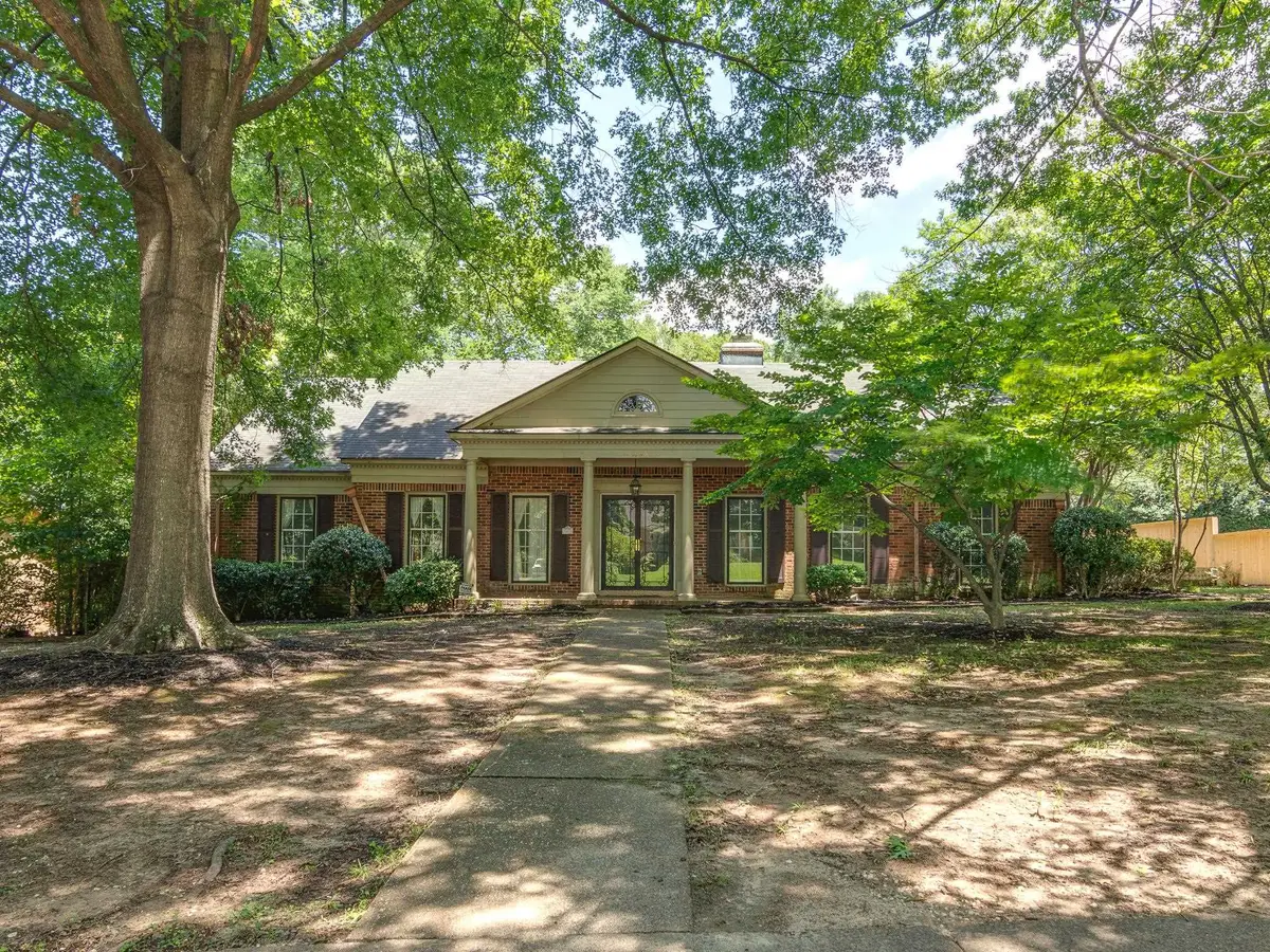 6784 RIVER BIRCH RD, Memphis, TN 38119 - #1