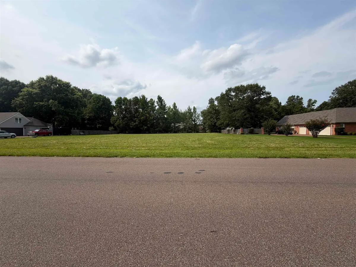 WOODLAND VIEW LN, Cordova, TN 38018 - #1