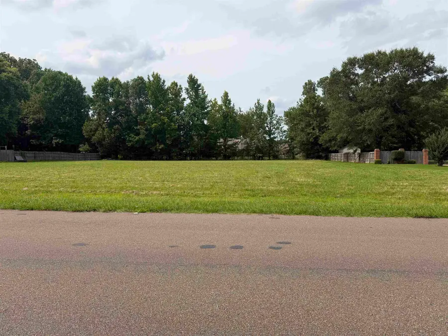 WOODLAND VIEW LN, Cordova, TN 38018 - #2