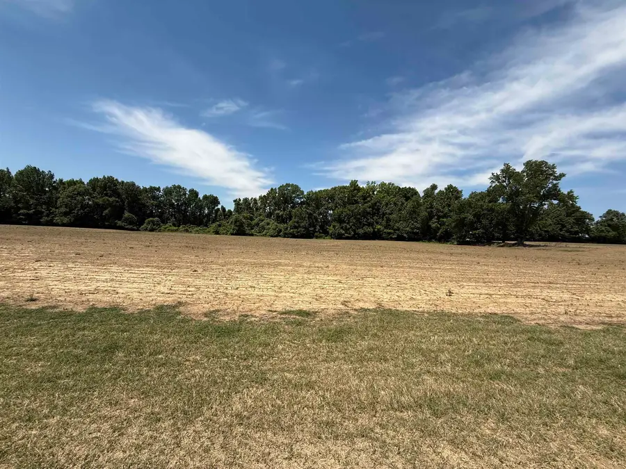 8716 MUDVILLE DR, Millington, TN 38053 - #2