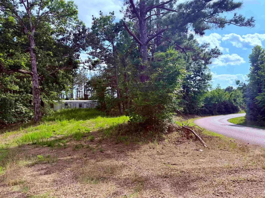 950 FEDDIE DAVIS RD, Selmer, TN 38375-5460 - #2