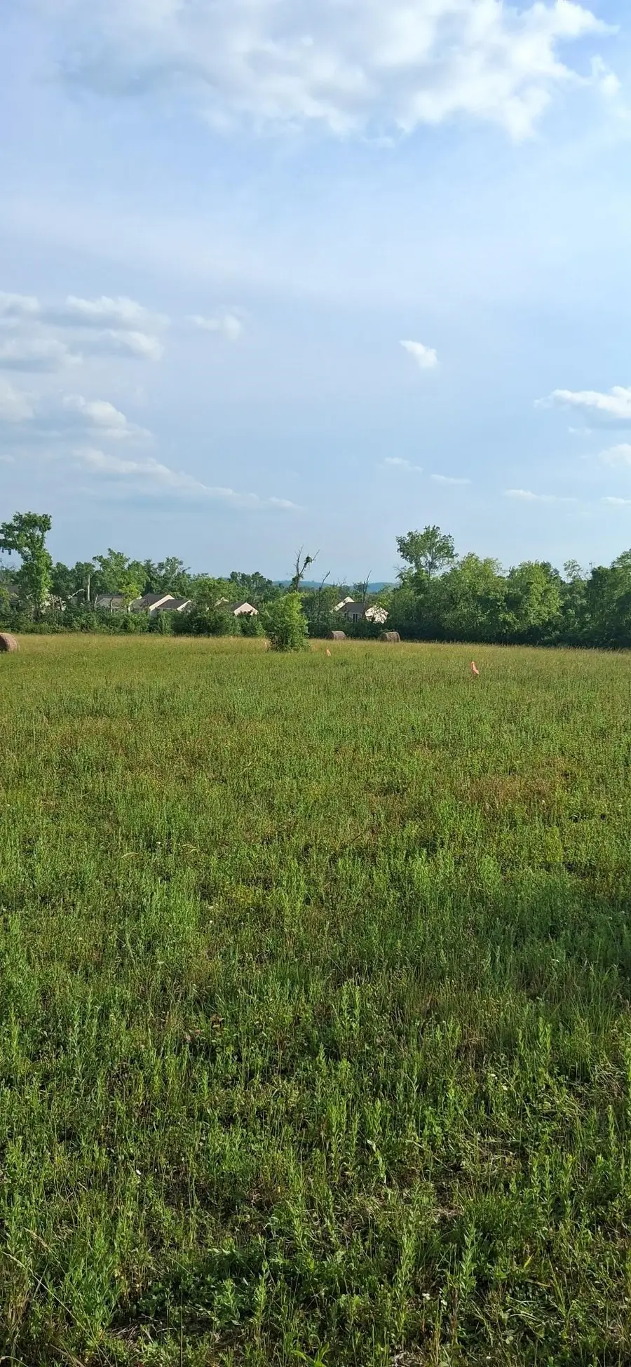 1325 BELLSHIRE DR, Nashville Davidson, TN 37116 - #2