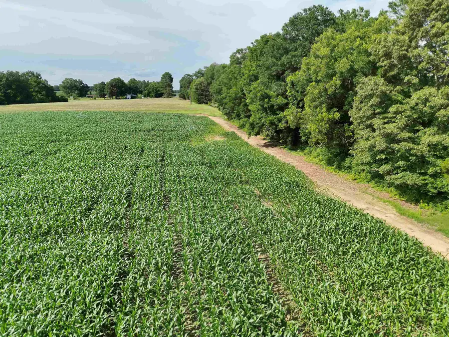 00 VAN BUREN RD. RD, Hickory Valley, TN 38042 - #2