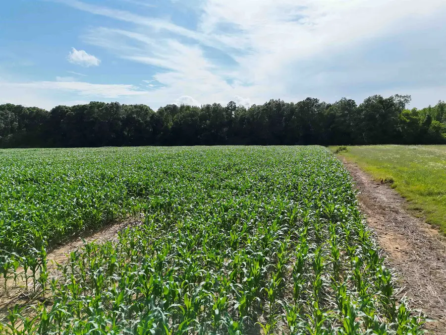 00 VAN BUREN RD. RD, Hickory Valley, TN 38042 - #3