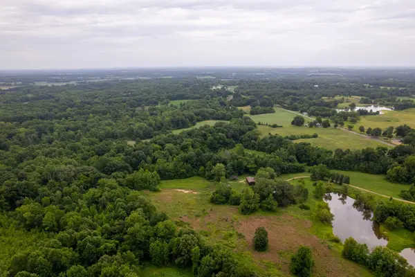 2990 CURVE WOODVILLE RD, Ripley, TN 38063