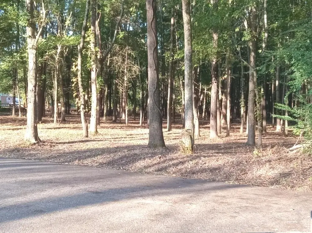 0 HICKS RD, Oakland, TN 38060 - #1