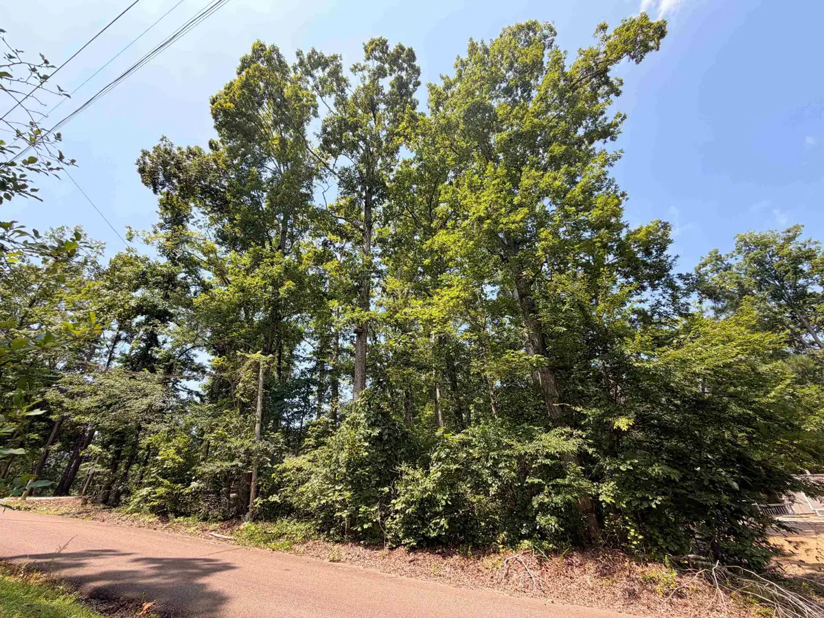 0 YELLOW CREEK LN, Counce, TN 38326 - #1