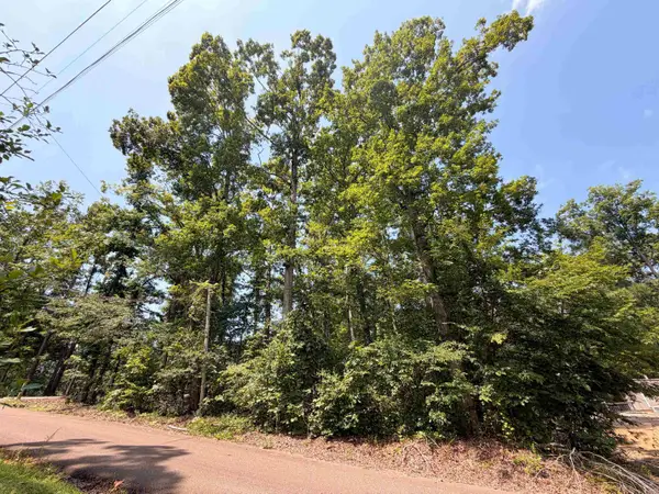 0 YELLOW CREEK LN, Counce, TN 38326
