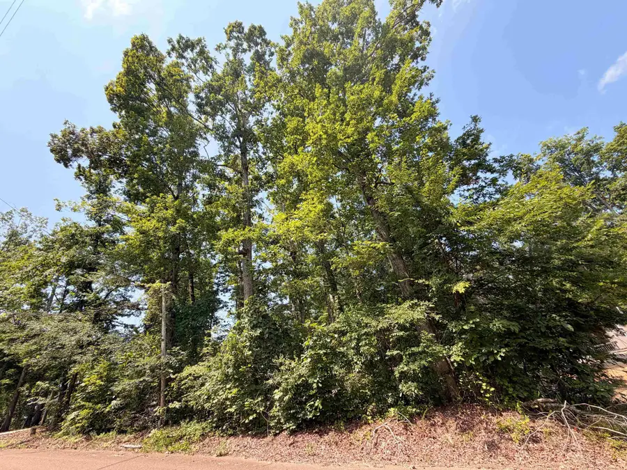 0 YELLOW CREEK LN, Counce, TN 38326 - #2