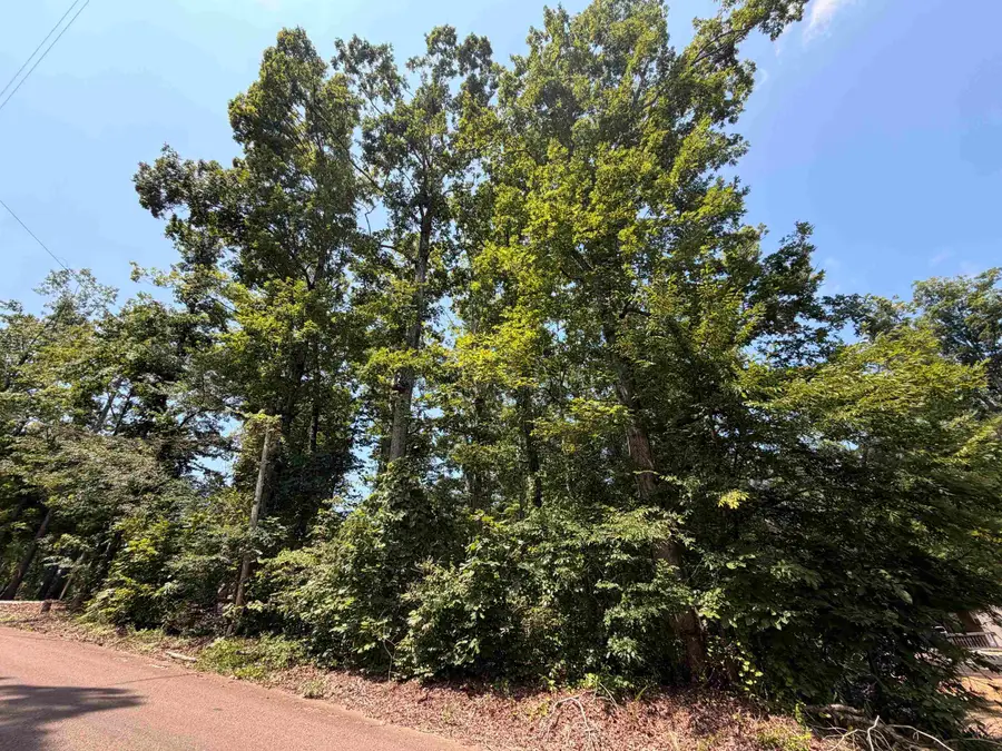 0 YELLOW CREEK LN, Counce, TN 38326 - #3