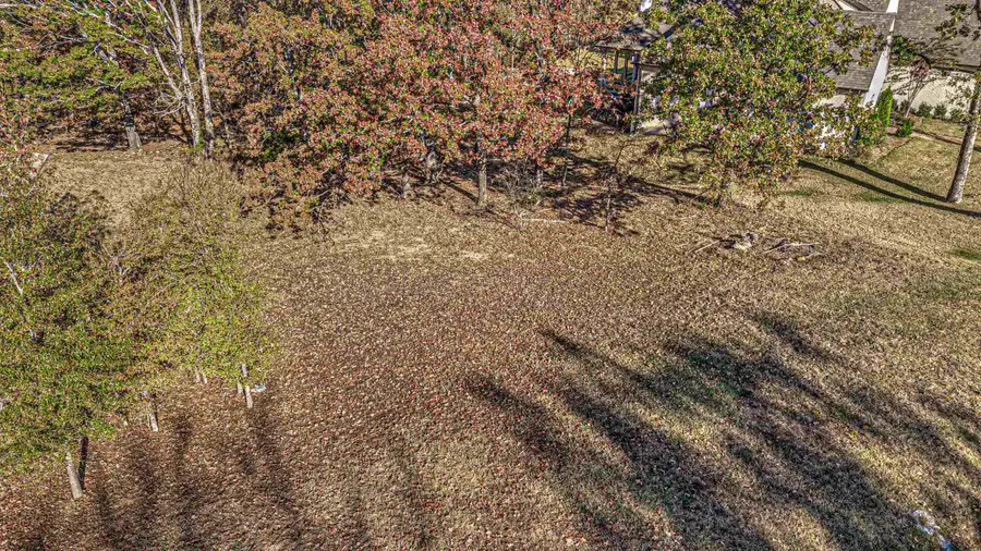 12668 BRAVO RD, Collierville, TN 38017 - #2