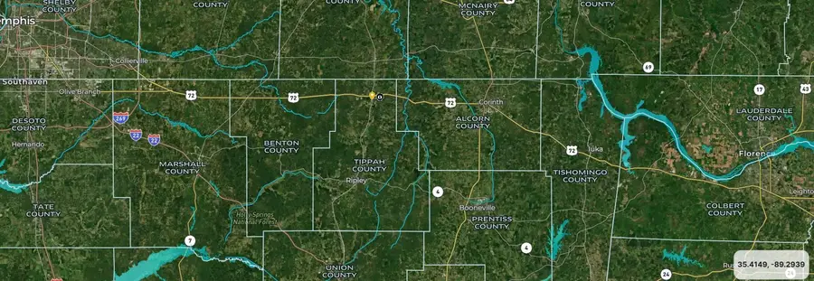 0 LUNA ST, Walnut, MS 38683 - #2