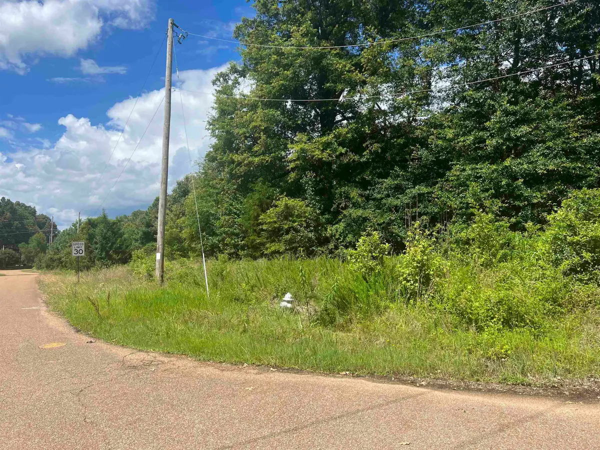 0 N REID HOOKER RD N, Eads, TN 38082 - #1