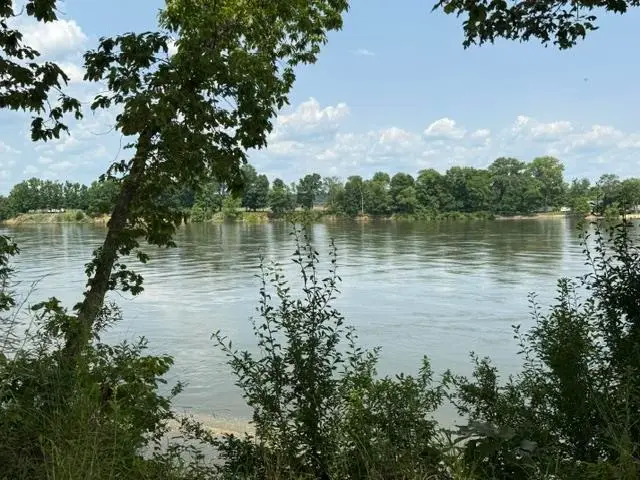 330 NASH LANDING LN, Counce, TN 38326 - #1