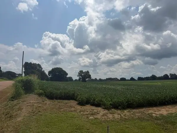 000 OIL MILL RD, Covington, TN 38019