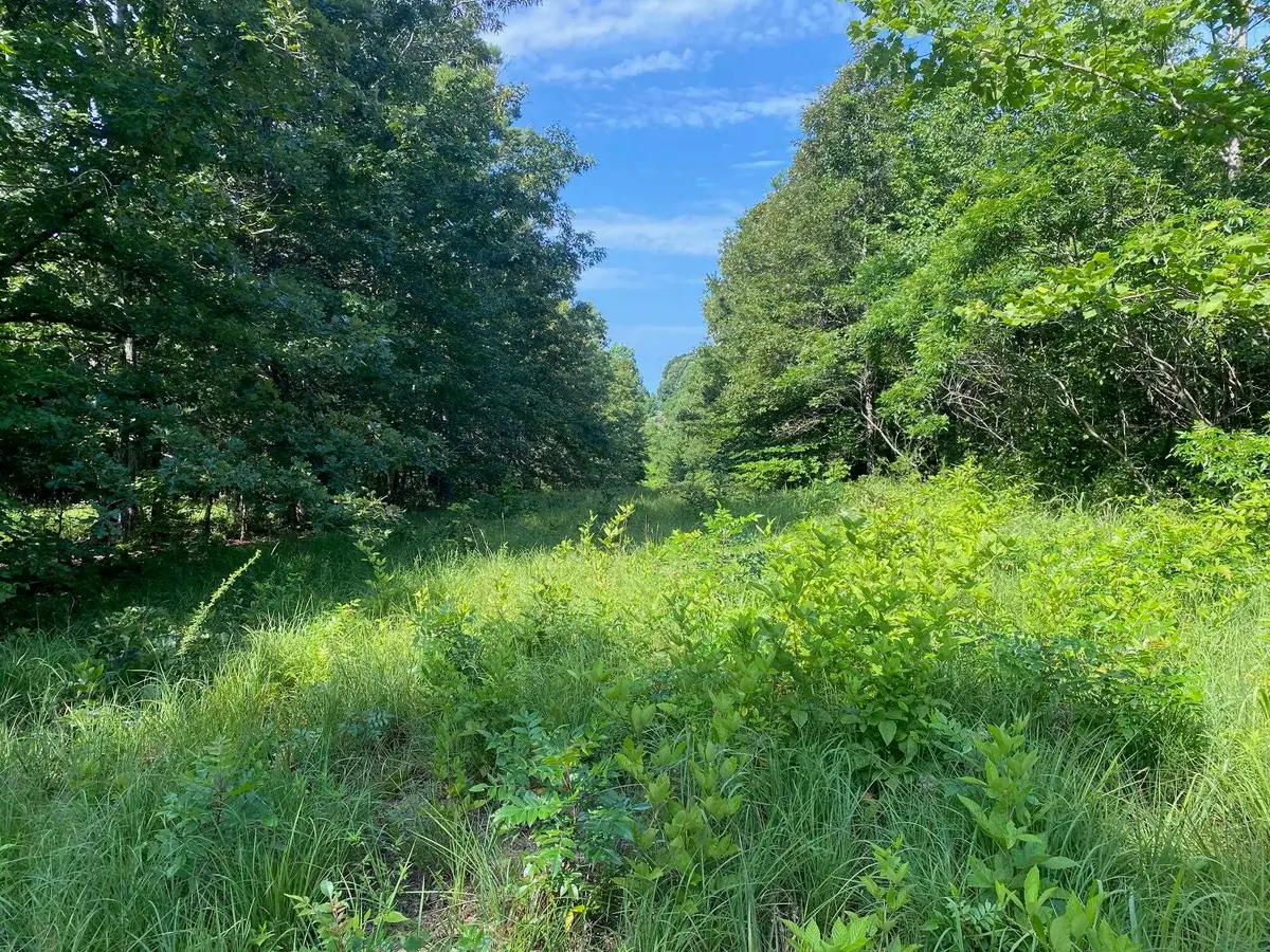 SEL BROOKS LN, Bethel Springs, TN 38315 - #1