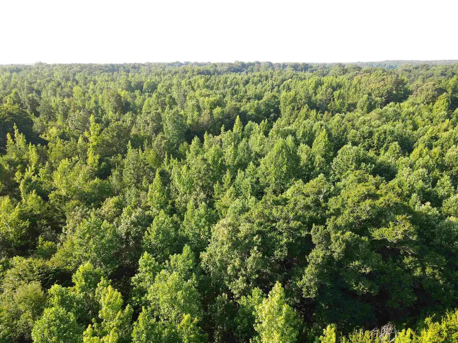 SEL BROOKS LN, Bethel Springs, TN 38315 - #3
